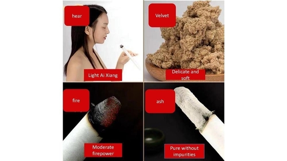 Ai Tiao と 活性化 し て ください 中国 医学 の モキシブスティック 血循環 を 促進 する